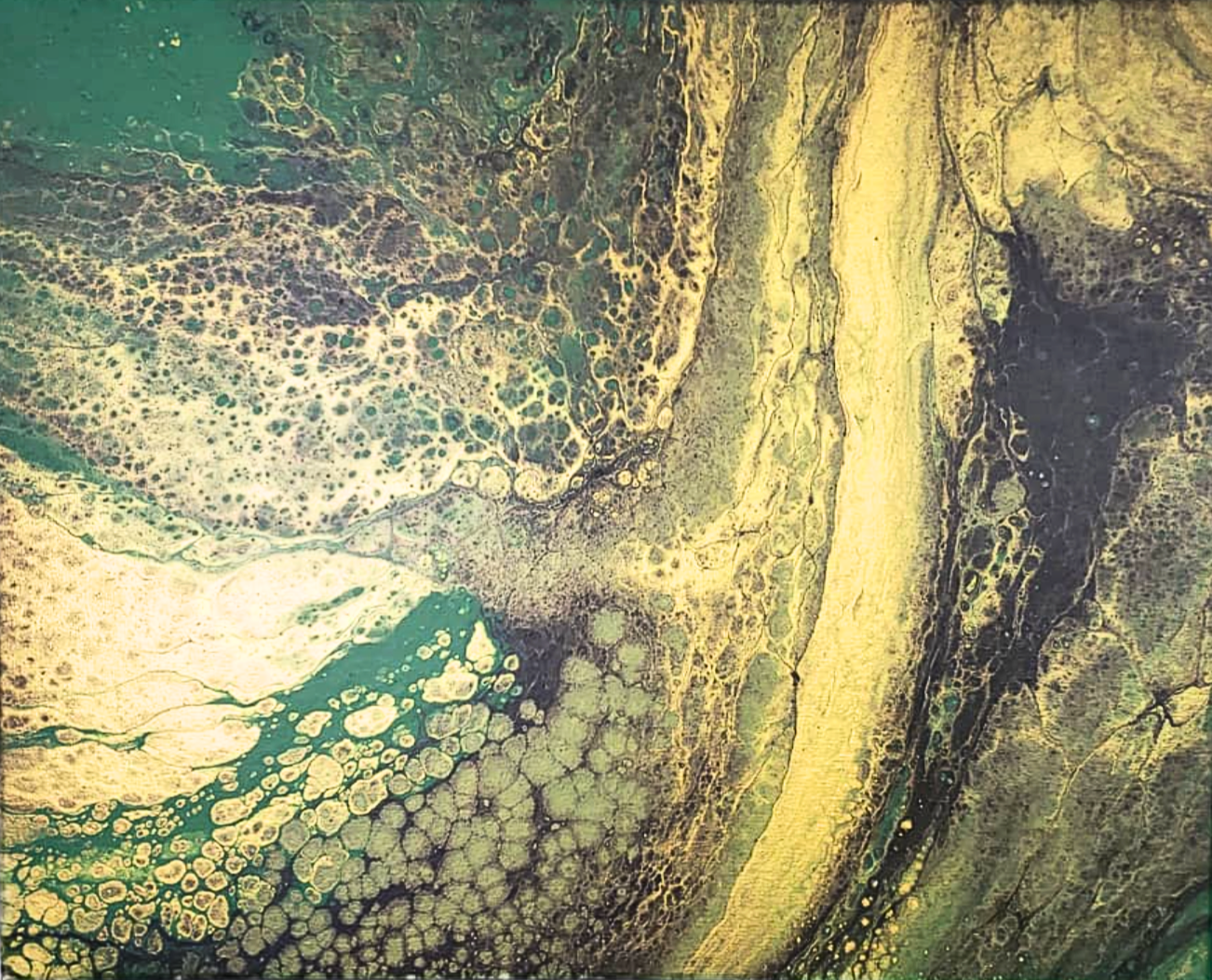 EBB & IllUSION